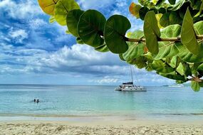 grenada, caribbean, everything, you, need, to, know
