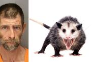Florida Man poops dead possum