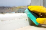 how to get rid of mould windows remover