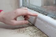 mould windows safest way to clean 