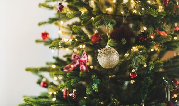 The best Christmas tree deals to bag before December
