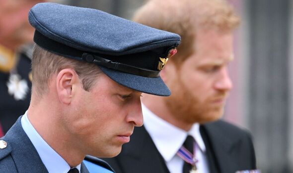 Prince William and prince harry looking pensive