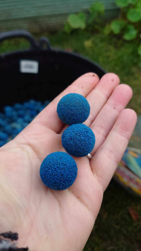 Dubbed ‘Taprogge balls’ after their manufacturer, the balls are rarely released into the sea